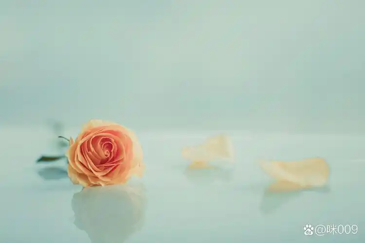 唯美的表达方式,从来都不是我喜欢的,生活不是拍文艺片.