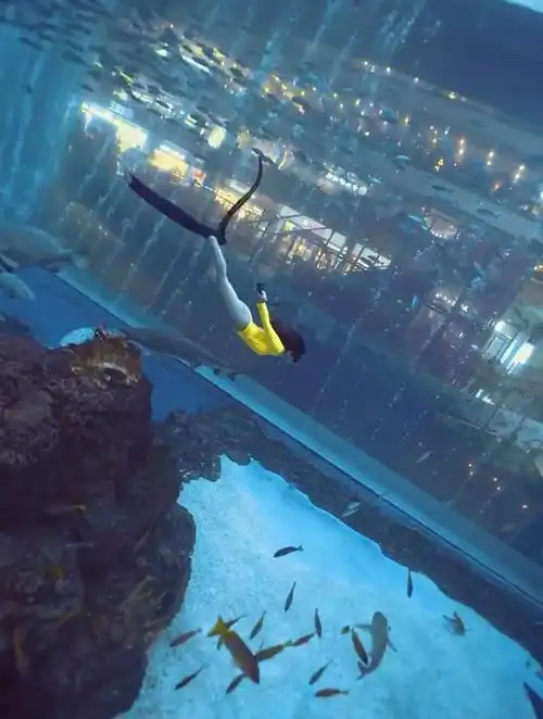 实拍美女去潜水,这画面太美了,眼前一幕活像一条美人鱼!