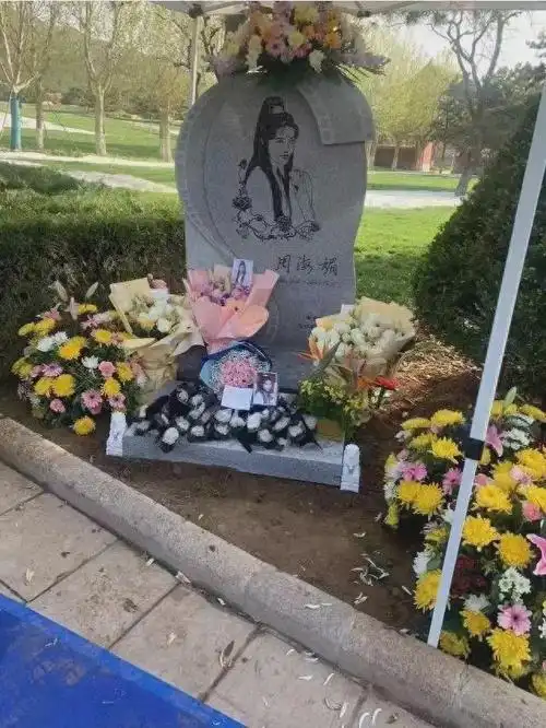 周海媚身后人财两安详,梅艳芳至今不得安宁,不被爱的孩子有多苦