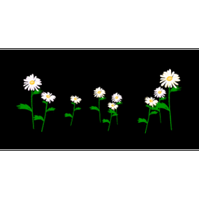 300_300gif 动态图 动图