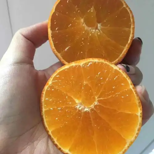 蒲江新鲜水果 柑橘 果冻橙 爱媛38号现摘现发 5斤包邮 产地直发