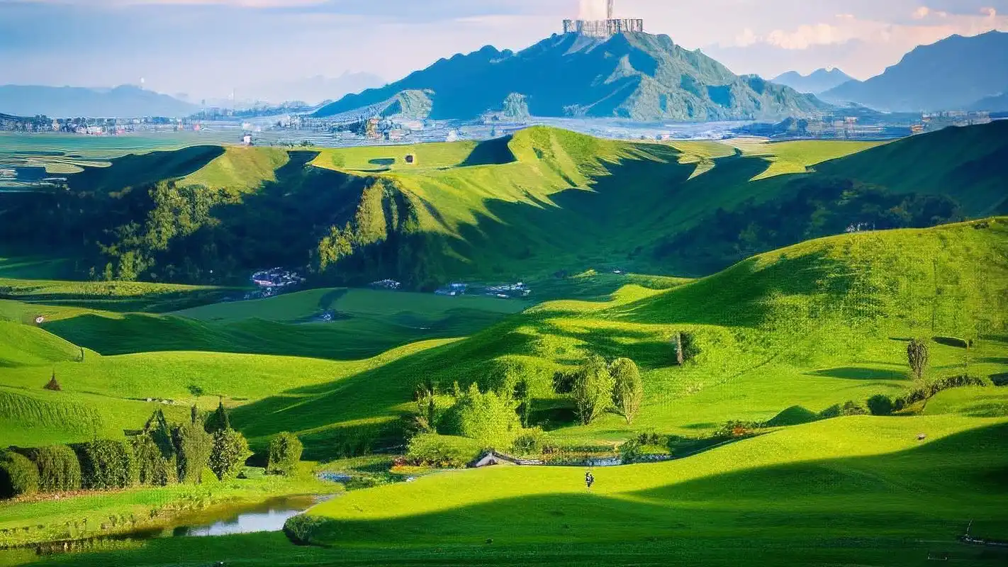 电脑壁纸🌱绿草如茵的清新感