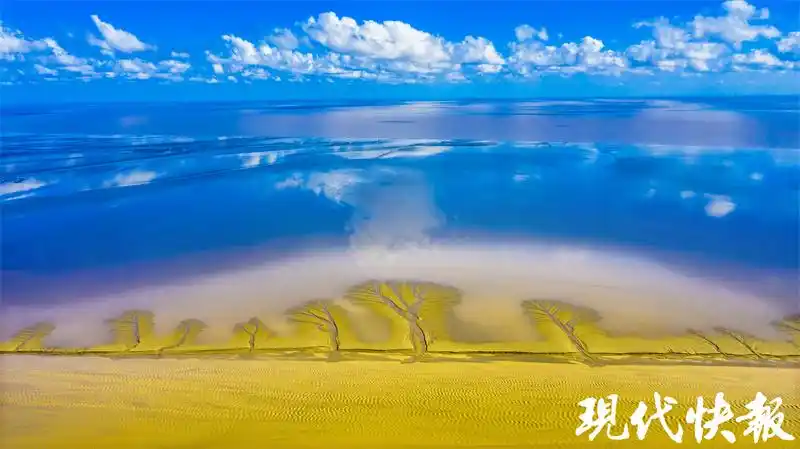 经略海洋看江苏②盐城如何勇当沿海地区高质量发展排头兵