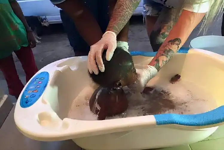 非洲一岁男孩体重5斤,被美女喂水照片走红,后续故事令人暖心