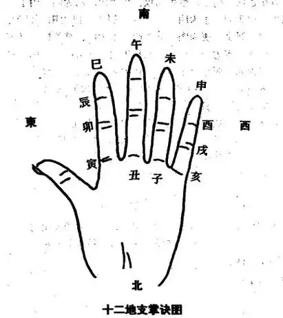 十二地支得法掌位