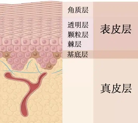 2021美容仪推荐攻略美容仪怎么选美容仪哪个牌子好附上nuface