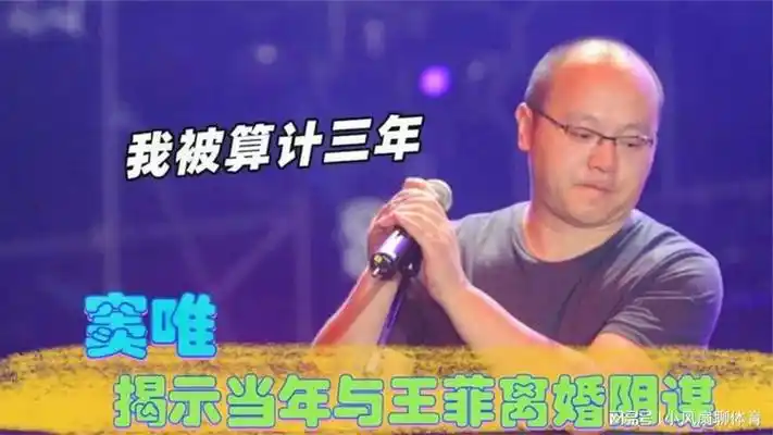 王菲的真实人品如何?窦唯揭示当年离婚阴谋,李亚鹏:养不起