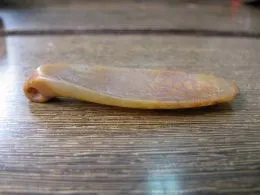 赵宝沟文化玉坠饰 - 高古 中古玉器 琉璃 - 玉器 珠宝 翡翠 玛瑙