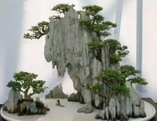 自己动手制做一个假山盆景