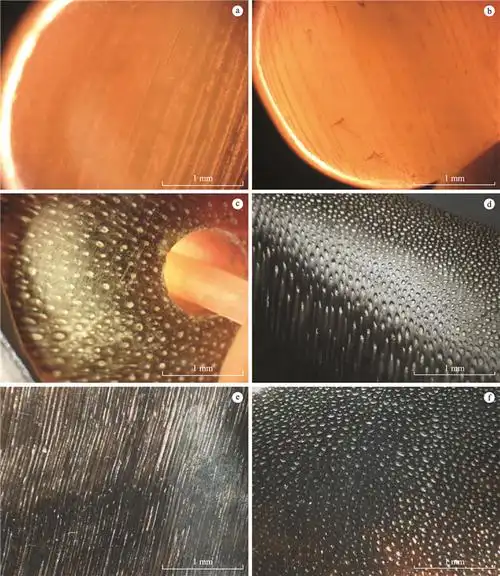 犀牛角及其仿制品的鉴定特征