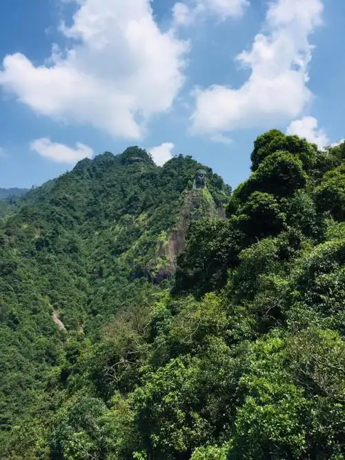 江西大觉山天然氧吧让人大觉大悟