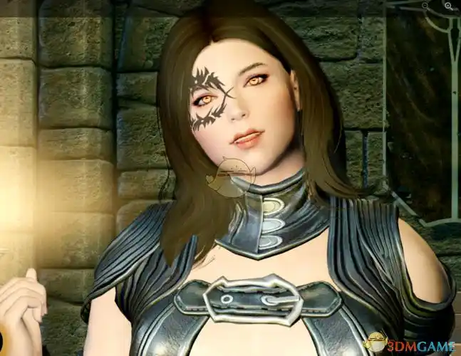 上古卷轴5天际zeva女性法师独立随从mod