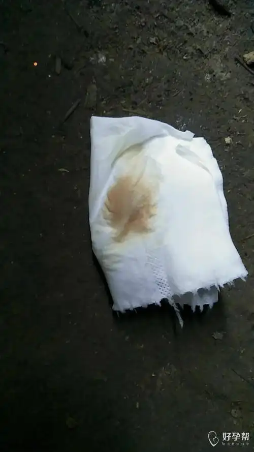 有没有懂得姐妹,看下这是月经来潮还是怀孕[疑问][疑问][疑问]