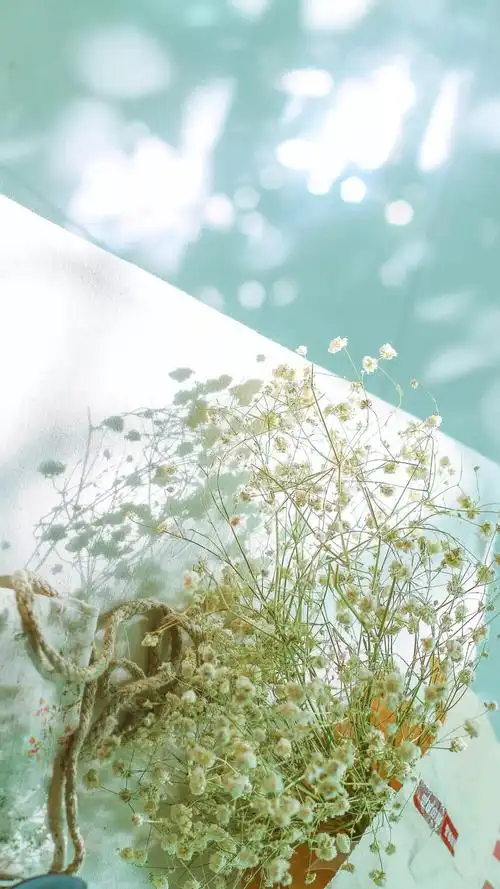 66迷恋66满天星66 - 堆糖,美图壁纸兴趣社区