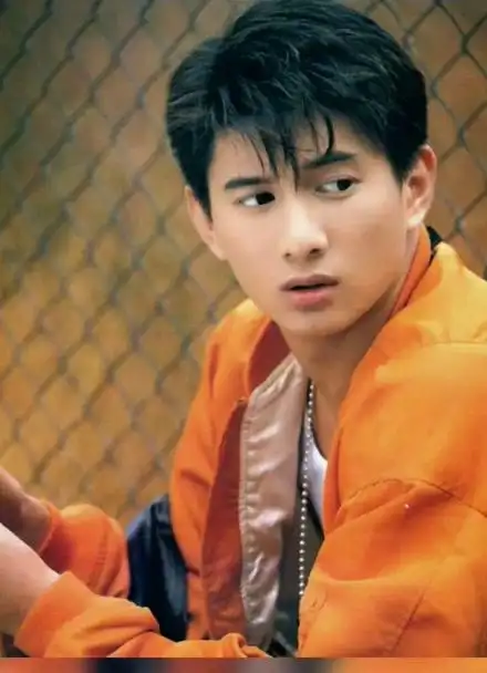 年轻时候的吴奇隆好帅