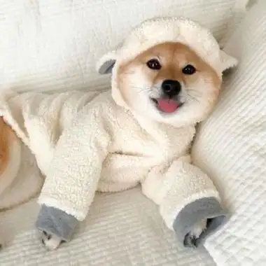 qq高清头像 高清头像男生女生 高清头像图片大全 腾牛个性网