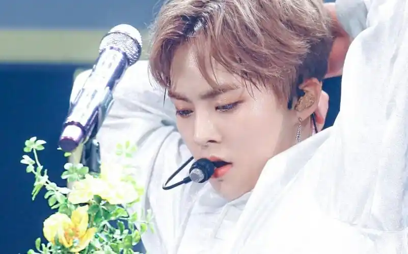 [金珉锡]蝴蝶少年,生日快乐呀!我们等你回家