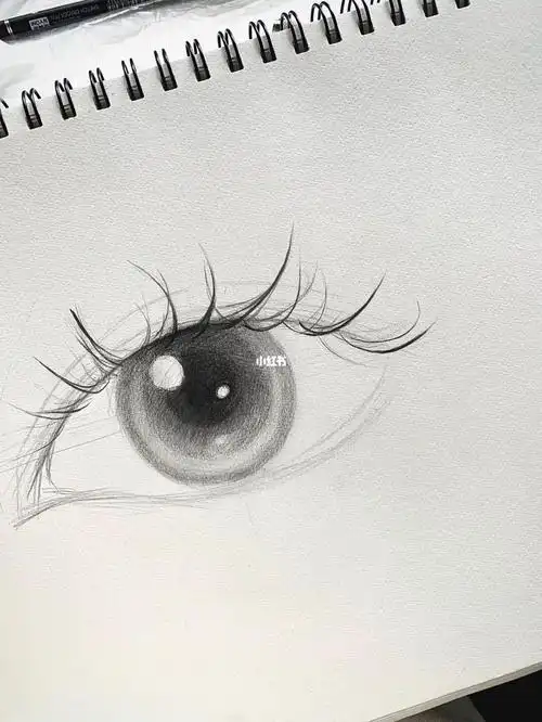 素描眼睛
