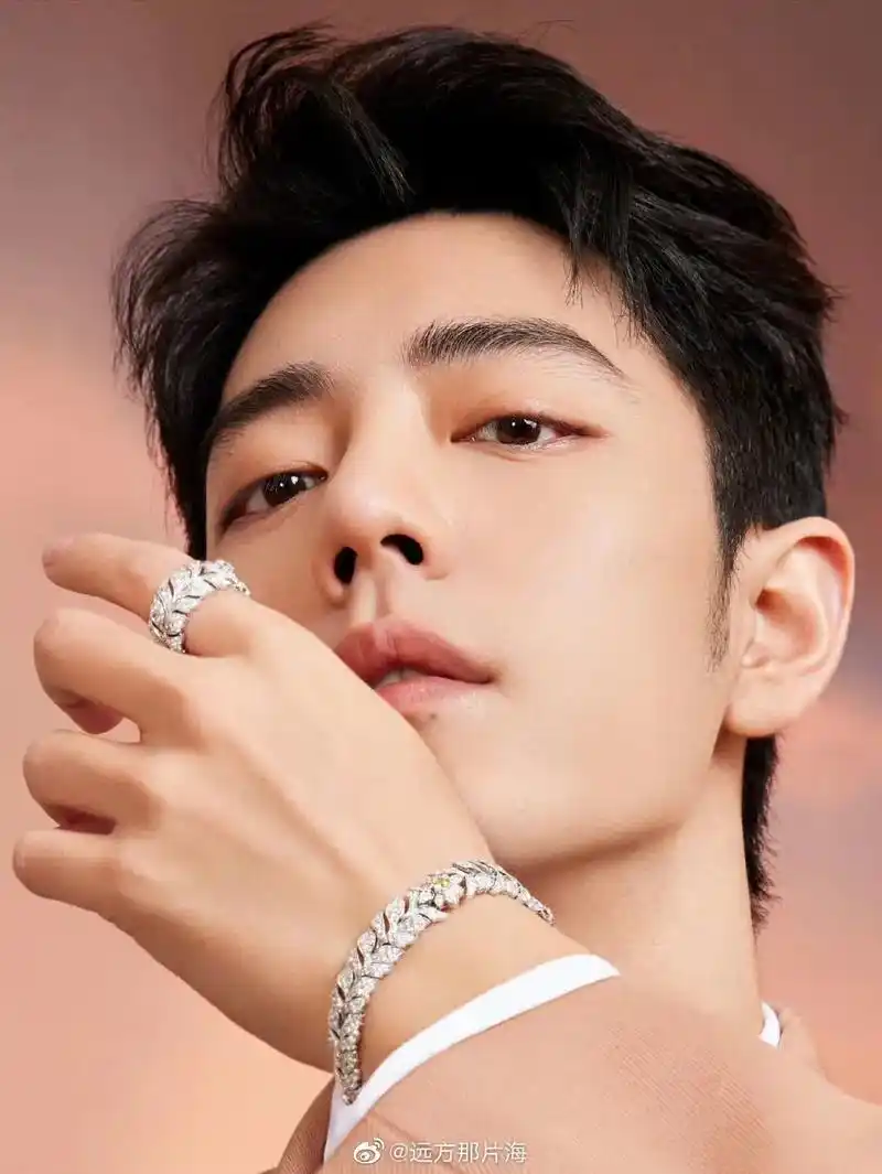 肖战  #肖战早春大片 被肖战矜贵gucci小王子造型帅晕 - 抖音