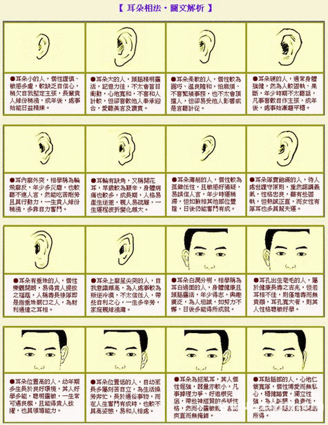 男人耳朵算命图解大全 男人面相左右耳朵图解