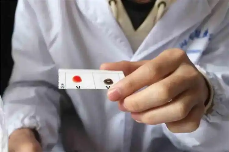 检测血型,践行医理,为爱传声_湖南医药学院_零二七艺考