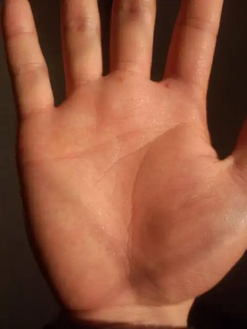 此手相生命线很多岛纹,命运坎坷多修炼才能成大器