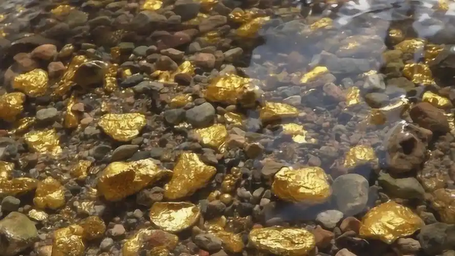 小伙户外寻宝,遍地黄金捡不完,简直令人心中暗爽!