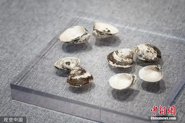 良渚古城遗址申遗成功 从出土文物看先民"精致"生活_金羊网新闻