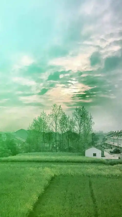 清新绿色护眼屏保