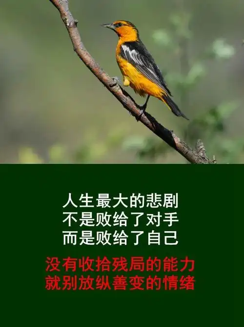 口无遮拦,不是直率,是缺乏教养,发脾气是本能,控制脾气是本事