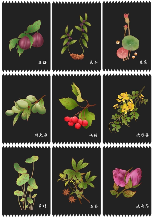 一些中草药_z87042640-站酷zcool