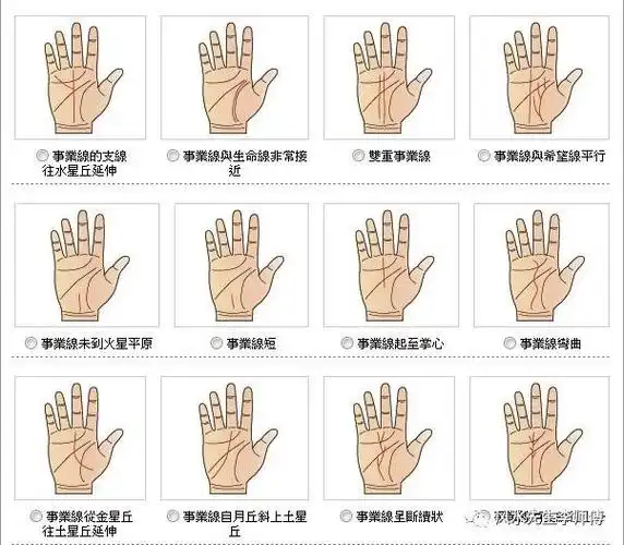 事业线-「男生手相分析事业线」男人手相事业线的图解 - 手相图解