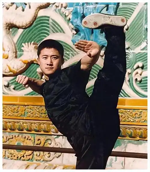吴京之所以如此出名,不仅有他父亲的教诲,还有他自己的努力|谢楠