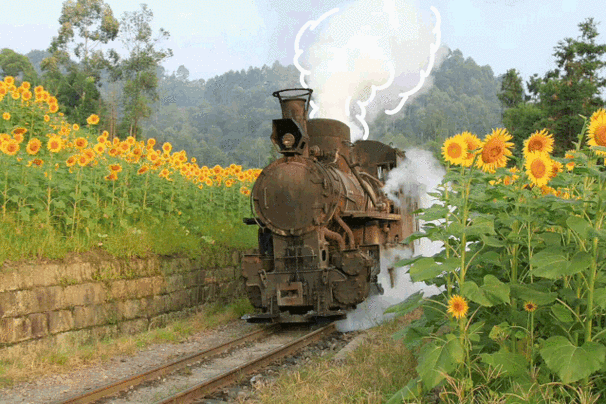 夏天| 这儿才是最最最最最"清新"|嘉阳|小火车|云里_新浪新闻