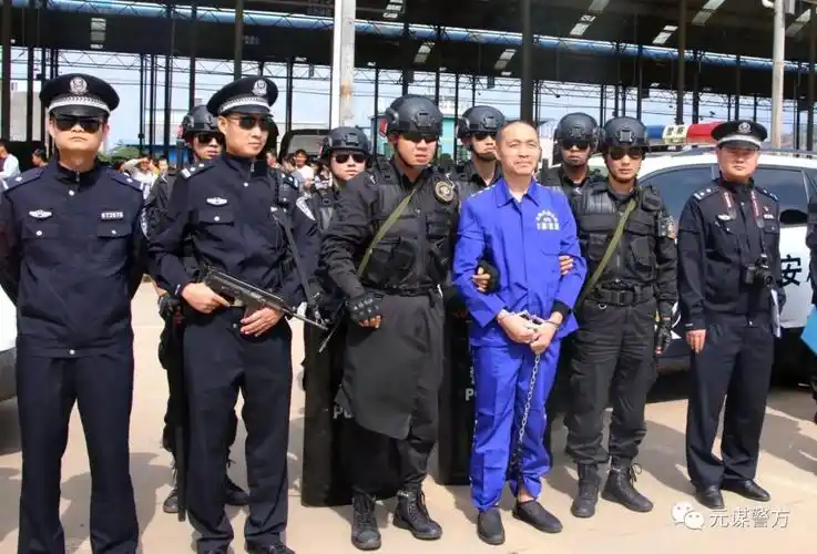 逮捕43人打财断血7300余万元楚雄州以金向聪为首的黑社会性质组织公开