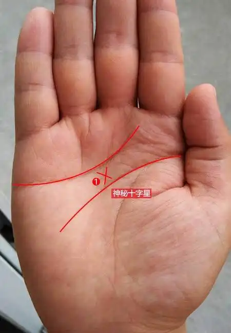 成功者的罕见手相掌心的神奇" 十字纹" | 新生活报 - ilifepost爱生活