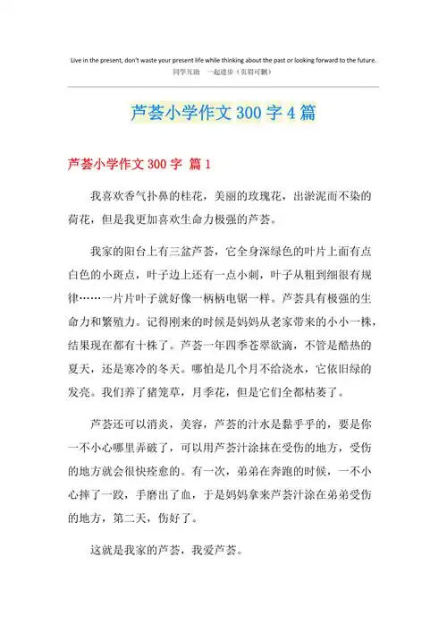 芦荟小学作文300字4篇