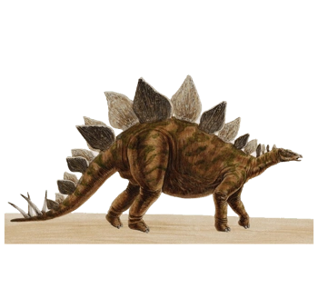 脊背菱形刺的恐龙