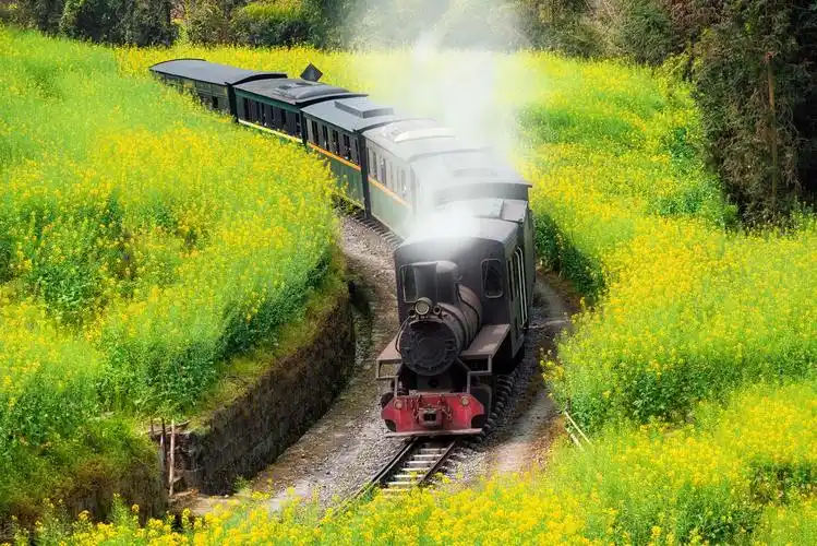 春天散文诗歌朗诵背景1