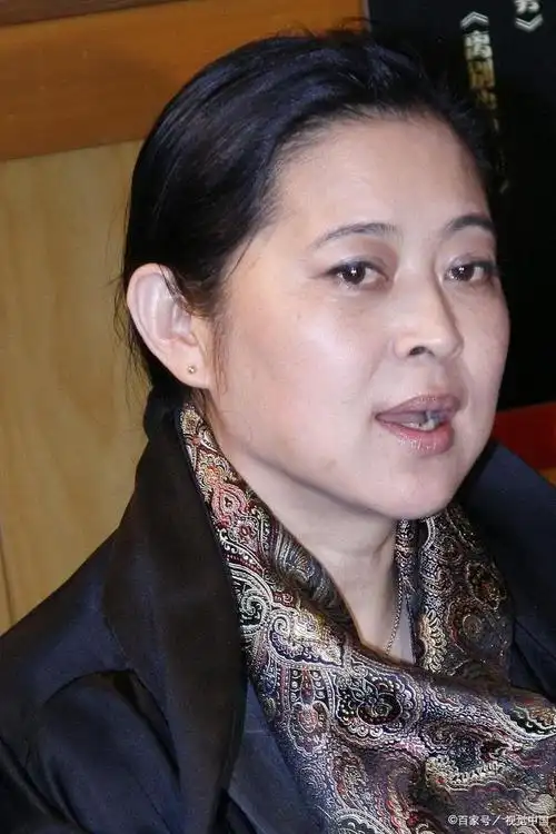 倪萍回应整容:哪哪都没整