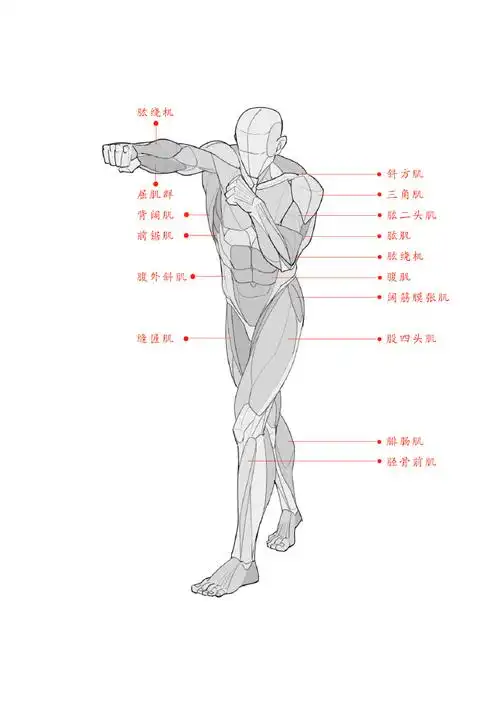 人体结构##速写##画画