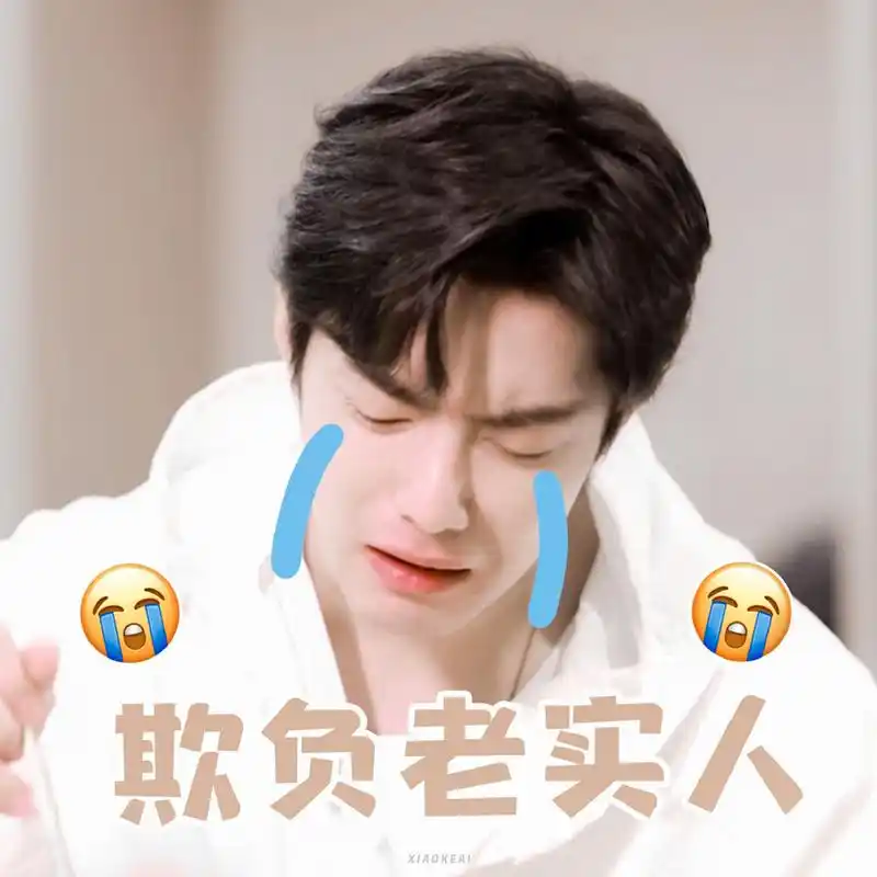 收获最新肖战表情包-真是太萌了吧!