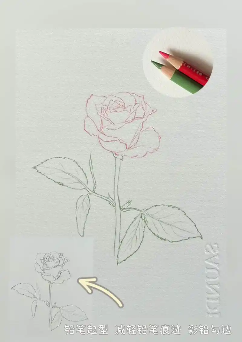 彩铅花卉⑤玫瑰花.超级简单的花卉教程#零基础学画画 #水彩花 - 抖音