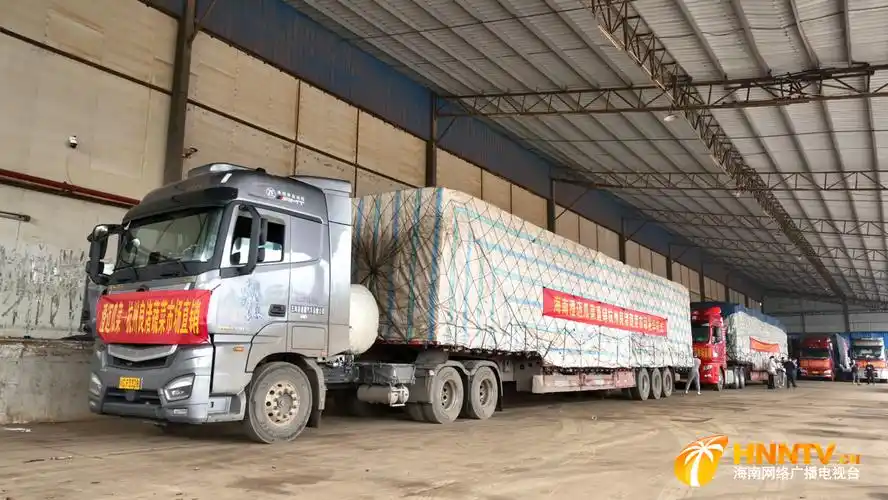 视听海南客户端超300吨运送出岛澄迈瓜菜直销杭州良渚蔬菜市场