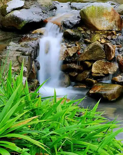 村口小河流水,青石间小瀑布流淌,翠绿的水草点缀着潺潺流水河道,让人
