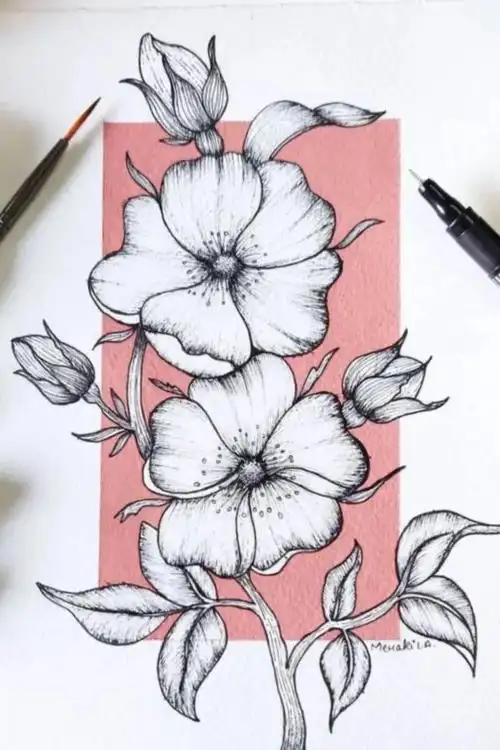 黑白装饰线描画|植物花卉临摹素材
