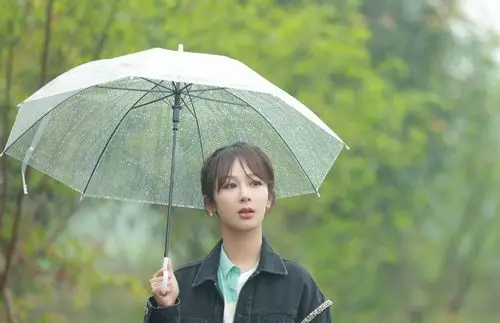 原创杨紫走后向往的生活网播量下滑李雪琴也救不了陈赫与李诞