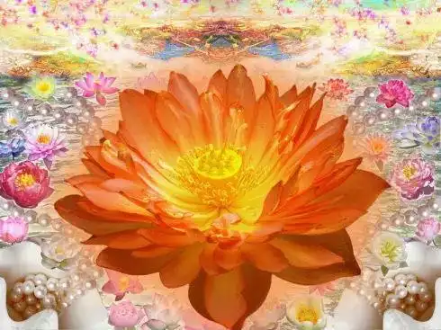 往生极乐世界真实案例 宽净法师神游西方极乐世界纪实