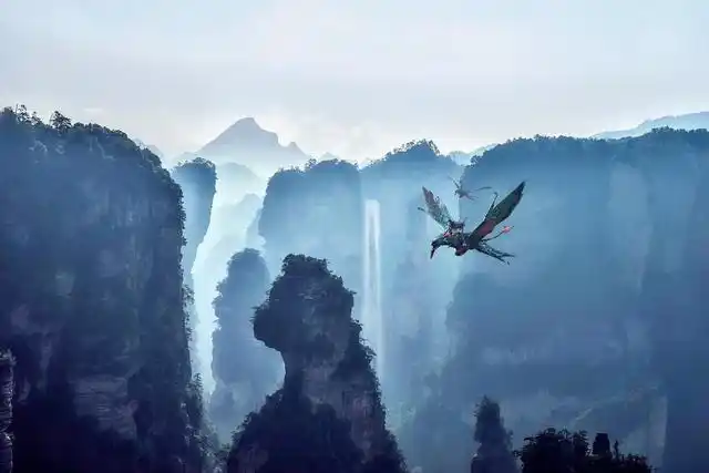 《阿凡达》重映,我居然看哭了,"审美心理"的爱和痛