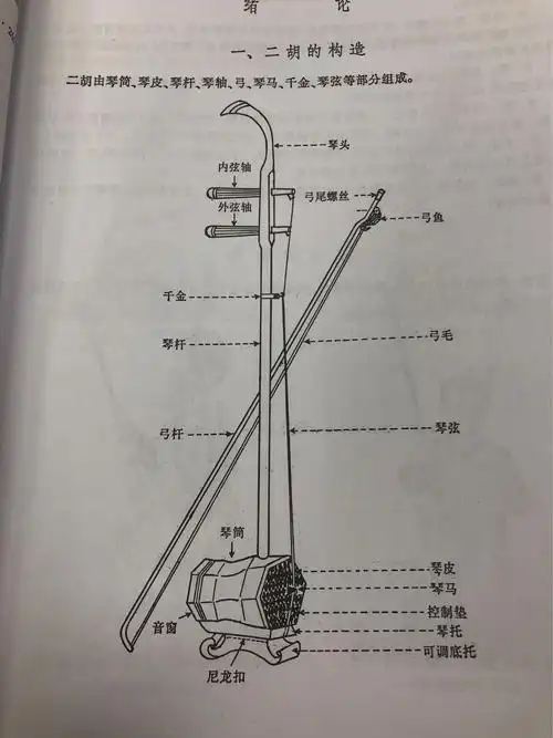 【马蹄莲第二小学】二胡乐器课堂实录
